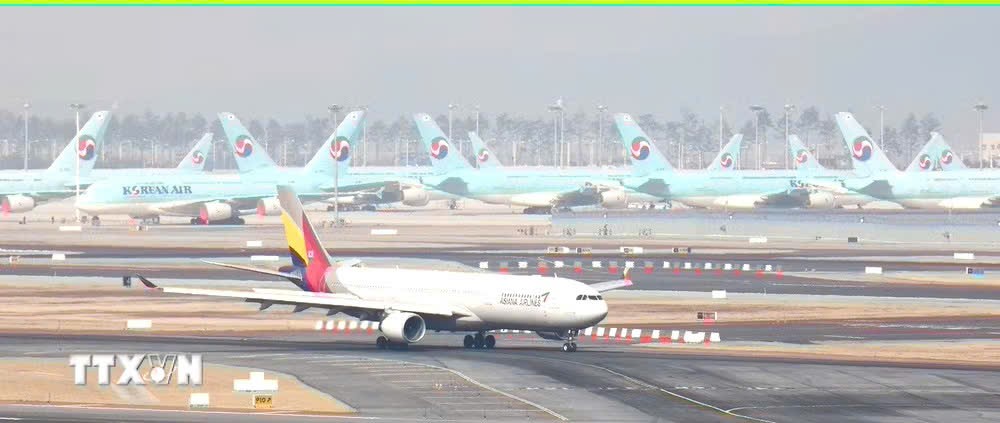 Hai hãng hàng không Korean Air và Asiana chính thức hợp nhất